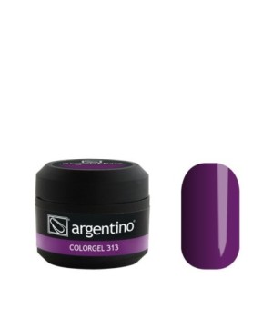 ColorGel n. 313 ml 5 - Laccato