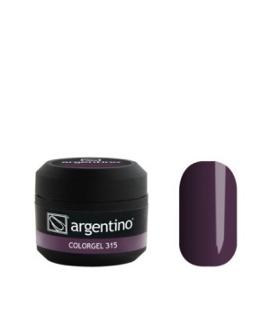 ColorGel n. 315 ml 5 - Perlato-Metallico